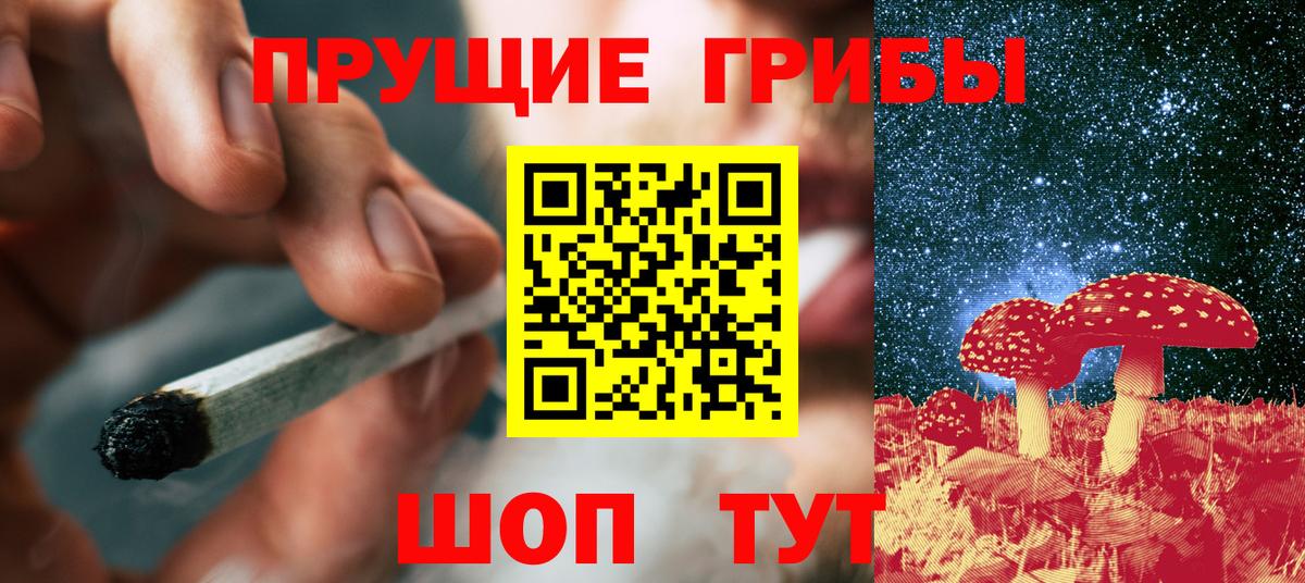 Псилоцибиновые грибы мицелий Павловский Посад