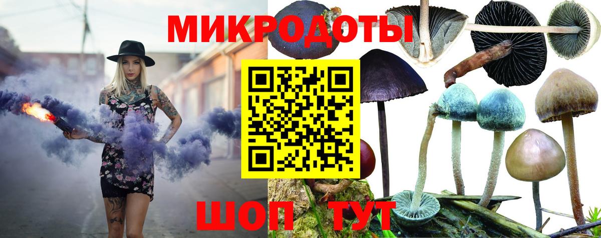 Павловский Посад  Галлюциногенные грибы ЛСД  Вход с VPN 